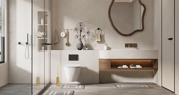 How to choose a toilet brush